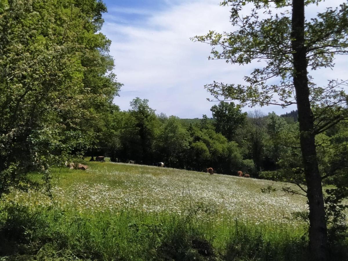 Carazen , Caravane Chauffee Saint-Sylvain-Bellegarde Eksteriør bilde